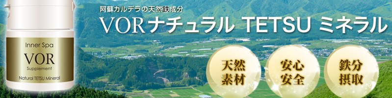 VOR�i�`������TETSU�~�l�������T�C�g